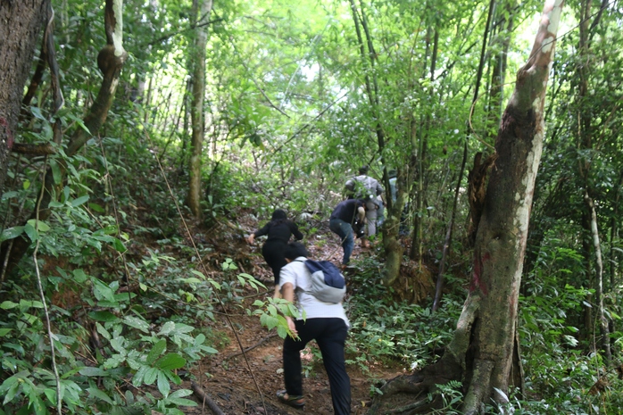 Bình Thuận kiểm tra khu rừng hơn 600 ha làm hồ chứa nước Ka Pét - Ảnh 4.