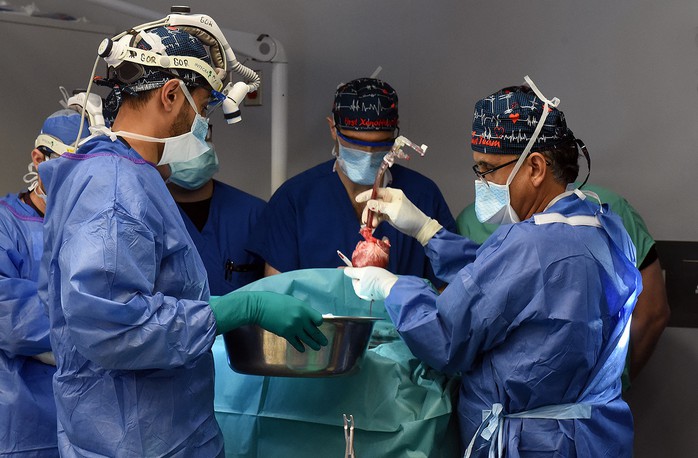 Ca phẫu thuật cấy ghép tim heo biến đổi gien cho bệnh nhân Lawrence Faucette Ảnh: TRƯỜNG Y KHOA ĐẠI HỌC MARYALAND Ca phẫu thuật cấy ghép tim heo biến đổi gien cho bệnh nhân Lawrence Faucette Ảnh: TRƯỜNG Y KHOA ĐẠI HỌC MARYALAND