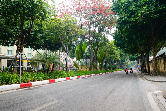 Phố phường Hà Nội yên bình ngày đầu năm mới 2024- Ảnh 12. Phố phường Hà Nội yên bình ngày đầu năm mới 2024- Ảnh 12.