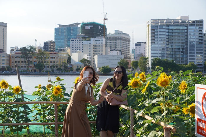 Vườn hoa hướng dương ven sông Sài Gòn nườm nượp khách ngày đầu năm- Ảnh 4. Vườn hoa hướng dương ven sông Sài Gòn nườm nượp khách ngày đầu năm- Ảnh 4.