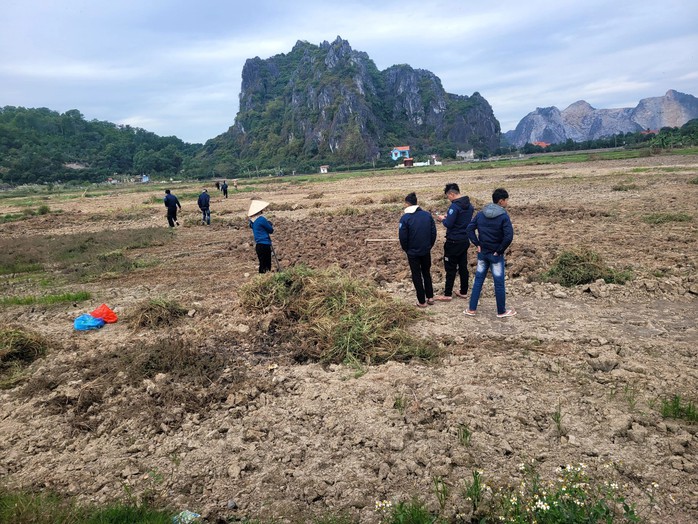 Chỉ sau một đêm, cánh đồng trơ trọi vì “đất tặc”