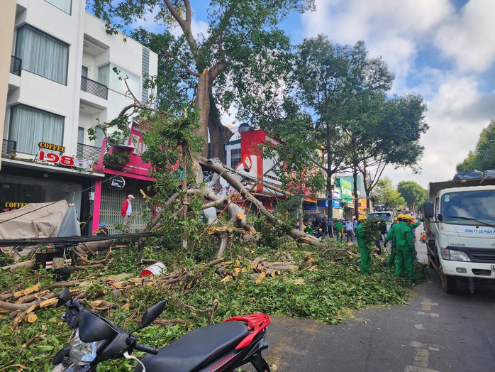 Buôn Ma Thuột: Cây cổ thụ gãy đổ, đè người đi đường- Ảnh 3. Buôn Ma Thuột: Cây cổ thụ gãy đổ, đè người đi đường- Ảnh 3.