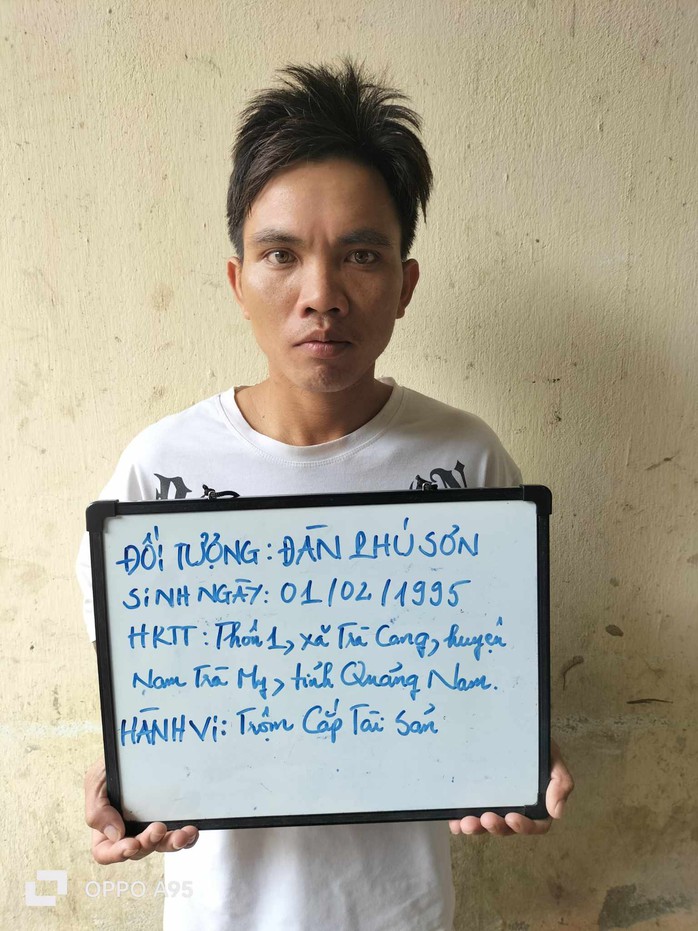 Kẻ trộm và người tiêu thụ sâm Ngọc Linh cùng bị khởi tố- Ảnh 1. Kẻ trộm và người tiêu thụ sâm Ngọc Linh cùng bị khởi tố- Ảnh 1.