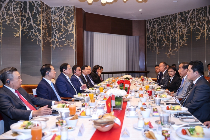 Tổng thống Joko Widodo mong Vinfast mở rộng đầu tư xe điện tại Indonesia- Ảnh 5. Tổng thống Joko Widodo mong Vinfast mở rộng đầu tư xe điện tại Indonesia- Ảnh 5.
