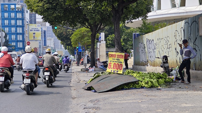 Chuối xuất khẩu lại dội chợ, đổ ra lề đường- Ảnh 2. Chuối xuất khẩu lại dội chợ, đổ ra lề đường- Ảnh 2.