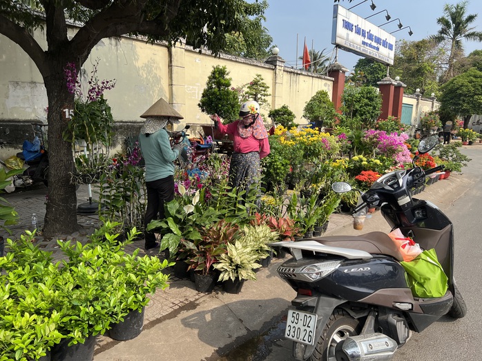 Hoa kiểng Tết tràn ra đường, giá dễ chịu - Ảnh 1. Hoa kiểng Tết tràn ra đường, giá dễ chịu - Ảnh 1.