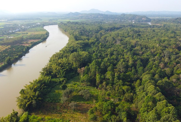VQG Cát Tiên tham gia Danh lục Xanh: Cơ hội bảo vệ rừng và động vật hoang dã tốt hơn- Ảnh 1. VQG Cát Tiên tham gia Danh lục Xanh: Cơ hội bảo vệ rừng và động vật hoang dã tốt hơn- Ảnh 1.