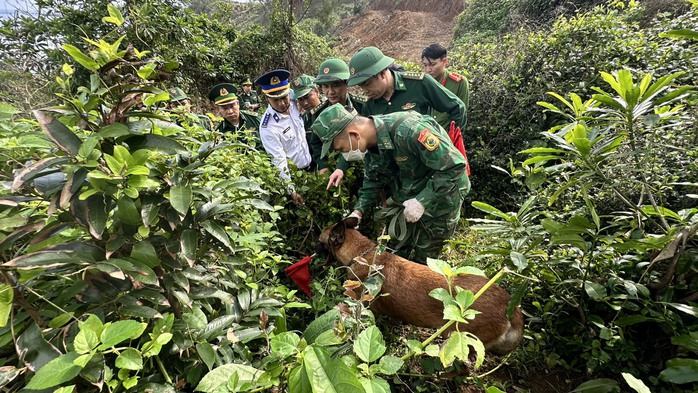 Đưa chó nghiệp vụ tìm kiếm nơi phát hiện gần 300 kg nghi ma túy- Ảnh 1. Đưa chó nghiệp vụ tìm kiếm nơi phát hiện gần 300 kg nghi ma túy- Ảnh 1.