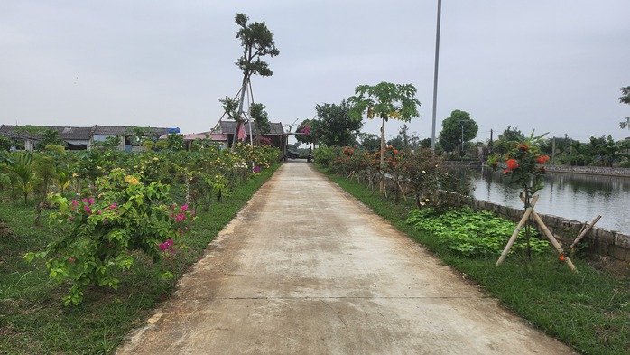 Mô hình nông nghiệp xanh với doanh thu hàng tỉ đồng mỗi năm của ông Nguyễn Hoài Châu Mô hình nông nghiệp xanh với doanh thu hàng tỉ đồng mỗi năm của ông Nguyễn Hoài Châu