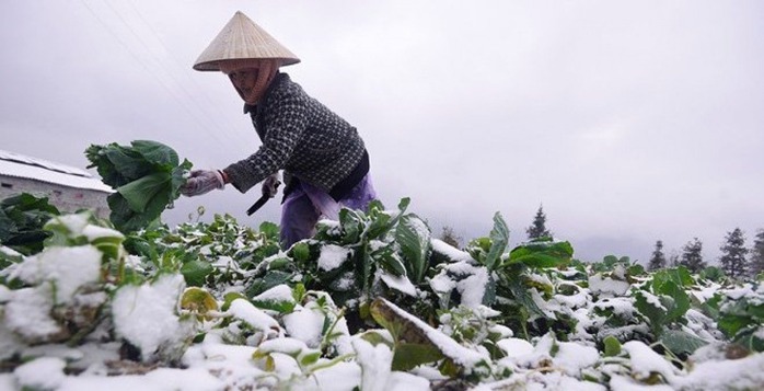 Không khí lạnh mạnh khiến nhiệt độ giảm mạnh, khả năng xuất hiện mưa tuyết và băng giá ở vùng núi cao