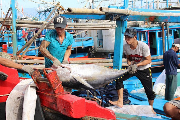 Thủy sản là một trong những thế mạnh của 3 tỉnh Phú Yên, Khánh Hòa, Ninh Thuận Thủy sản là một trong những thế mạnh của 3 tỉnh Phú Yên, Khánh Hòa, Ninh Thuận
