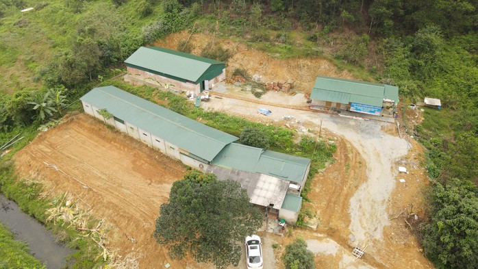Khám phá trang trại nuôi chồn hương lớn nhất Hà Tĩnh- Ảnh 3. Khám phá trang trại nuôi chồn hương lớn nhất Hà Tĩnh- Ảnh 3.