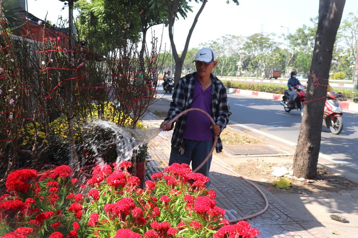 Ngập tràn sắc Xuân trên đại lộ đẹp nhất ở TP Thủ Đức- Ảnh 5. Ngập tràn sắc Xuân trên đại lộ đẹp nhất ở TP Thủ Đức- Ảnh 5.