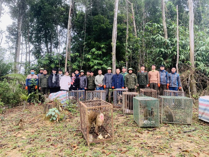Vườn quốc gia Vũ Quang tái thả 30 cá thể động vật hoang dã về môi trường tự nhiên- Ảnh 1. Vườn quốc gia Vũ Quang tái thả 30 cá thể động vật hoang dã về môi trường tự nhiên- Ảnh 1.