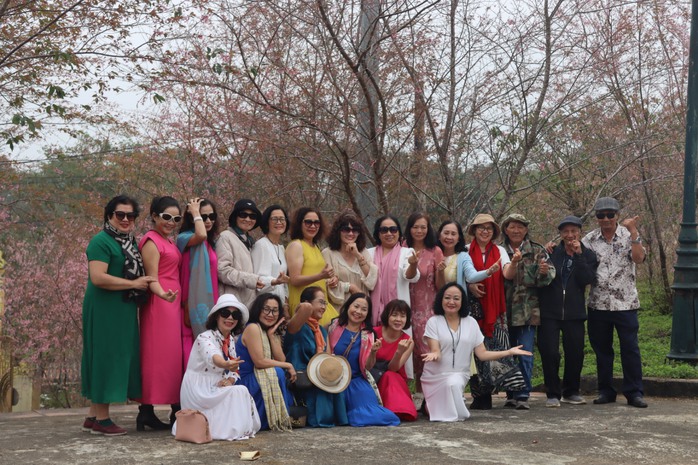Hoa mai anh đào rực rỡ hút khách đến Măng Đen- Ảnh 7.