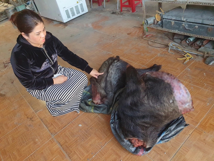 Người phụ nữ bị khởi tố vì tàng trữ động vật hoang dã quý hiếm- Ảnh 1. Người phụ nữ bị khởi tố vì tàng trữ động vật hoang dã quý hiếm- Ảnh 1.