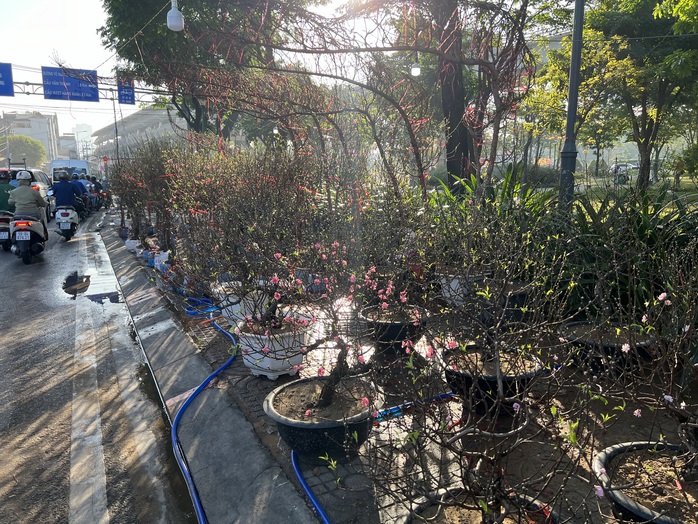 Hoa Tết tràn ra đường, hạ giá sớm- Ảnh 4. Hoa Tết tràn ra đường, hạ giá sớm- Ảnh 4.
