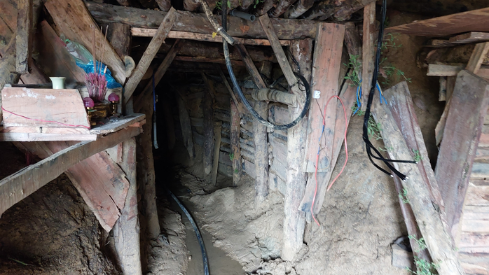 N&uacute;p b&oacute;ng trang trại để đ&agrave;o v&agrave;ng?- Ảnh 1.