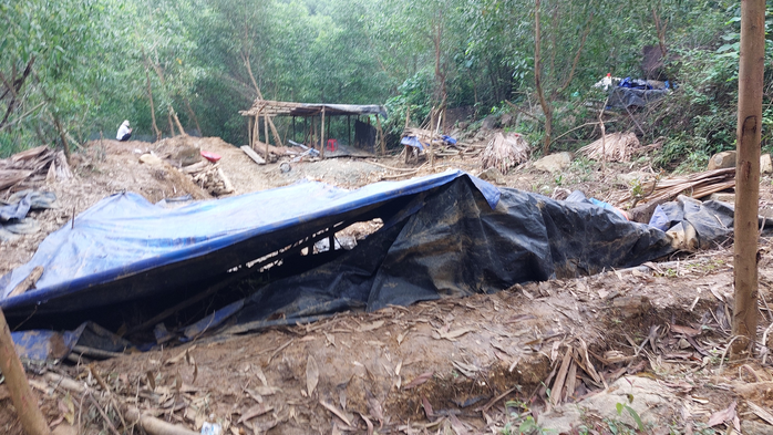 N&uacute;p b&oacute;ng trang trại để đ&agrave;o v&agrave;ng?- Ảnh 2.