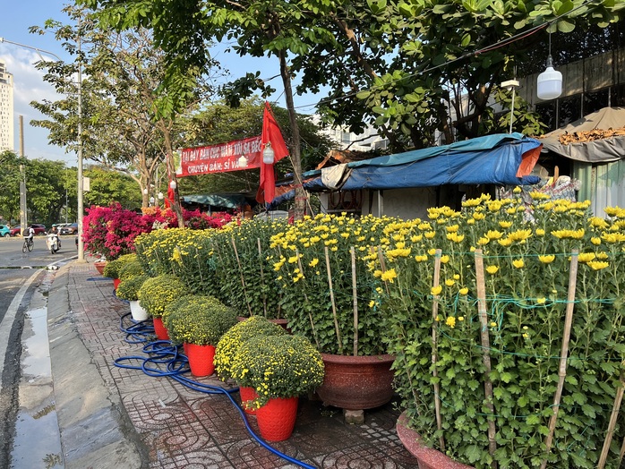 Hoa Tết tràn ra đường, hạ giá sớm- Ảnh 1. Hoa Tết tràn ra đường, hạ giá sớm- Ảnh 1.