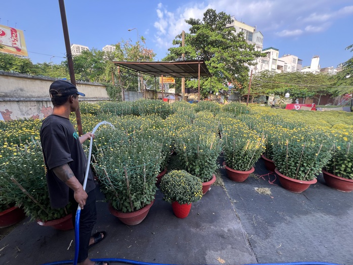 Hoa Tết tràn ra đường, hạ giá sớm- Ảnh 5. Hoa Tết tràn ra đường, hạ giá sớm- Ảnh 5.