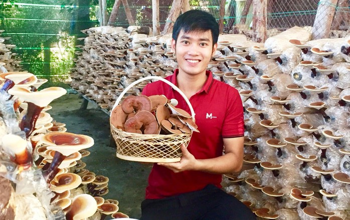 Trồng nấm bằng c&ocirc;ng nghệ- Ảnh 1.