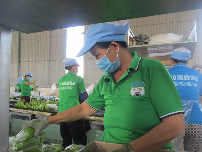 Công ty bầu Đức lại bán tài sản để trả nợ- Ảnh 1.