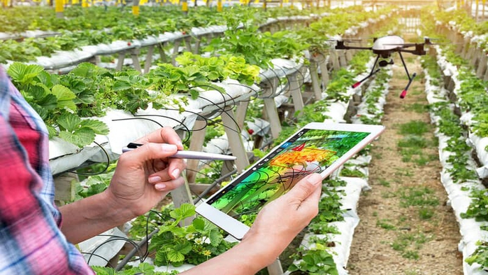 Chưa đưa lao động Việt Nam sang Israel làm việc- Ảnh 1. Chưa đưa lao động Việt Nam sang Israel làm việc- Ảnh 1.