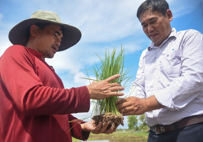 Xây dựng đội ngũ trí thức đủ trí tuệ, bản lĩnh- Ảnh 1. Xây dựng đội ngũ trí thức đủ trí tuệ, bản lĩnh- Ảnh 1.