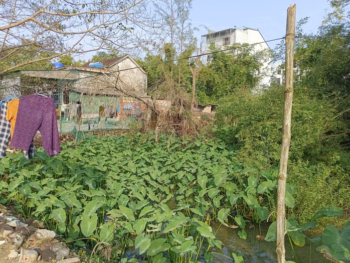 VIDEO: Đường trăm tỉ đồng "đắp chiếu", dân bị cô lập giữa“ốc đảo” trong thành phố - Ảnh 1. VIDEO: Đường trăm tỉ đồng "đắp chiếu", dân bị cô lập giữa“ốc đảo” trong thành phố - Ảnh 1.