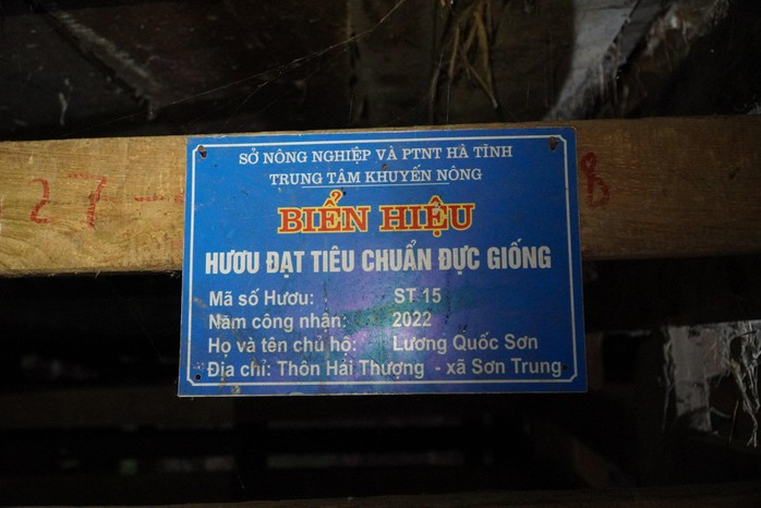 Bất ngờ với chú hươu sao “độc nhất vô nhị” 3 sừng, 6 nhánh ở Hà Tĩnh- Ảnh 4. Bất ngờ với chú hươu sao “độc nhất vô nhị” 3 sừng, 6 nhánh ở Hà Tĩnh- Ảnh 4.