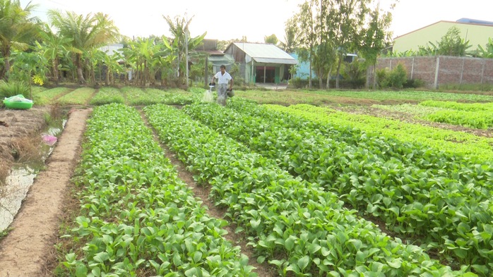 Sóc Trăng: Phối hợp chặt chẽ giữa Hội Phụ nữ và Ngân hàng chính sách - Ảnh 1.