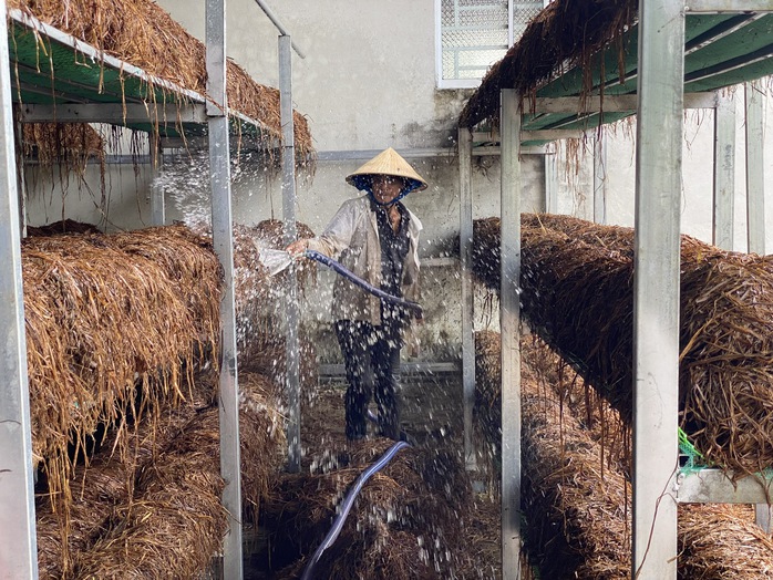 HTX New Green Farm bán rơm cho người dân ủ làm nấm Ảnh: Hoàng Vũ HTX New Green Farm bán rơm cho người dân ủ làm nấm Ảnh: Hoàng Vũ