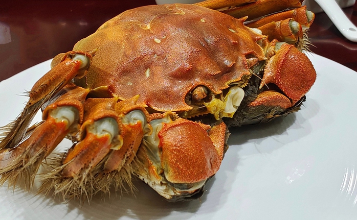 Loại cua "quý tộc" của Trung Quốc trở thành món ăn bình dân tại Việt Nam- Ảnh 1. Loại cua "quý tộc" của Trung Quốc trở thành món ăn bình dân tại Việt Nam- Ảnh 1.