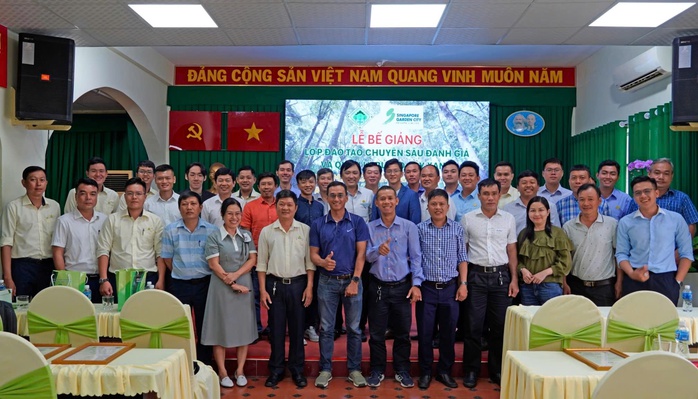 Cắt tỉa nhiều cành nhánh cổ thụ, khả năng cây gãy, đổ sẽ tăng lên- Ảnh 1. Cắt tỉa nhiều cành nhánh cổ thụ, khả năng cây gãy, đổ sẽ tăng lên- Ảnh 1.
