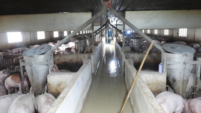 Xử phạt nhiều công ty chuyên "làm liều" ở Tây Ninh- Ảnh 1. Xử phạt nhiều công ty chuyên "làm liều" ở Tây Ninh- Ảnh 1.