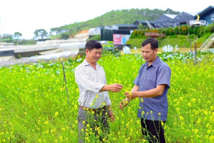 Tháo gỡ khó khăn cho du lịch canh nông Lâm Đồng- Ảnh 1. Tháo gỡ khó khăn cho du lịch canh nông Lâm Đồng- Ảnh 1.