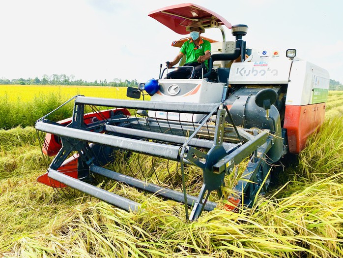 Long An quyết tâm phát triển 1 triệu ha lúa chất lượng cao- Ảnh 2. Long An quyết tâm phát triển 1 triệu ha lúa chất lượng cao- Ảnh 2.