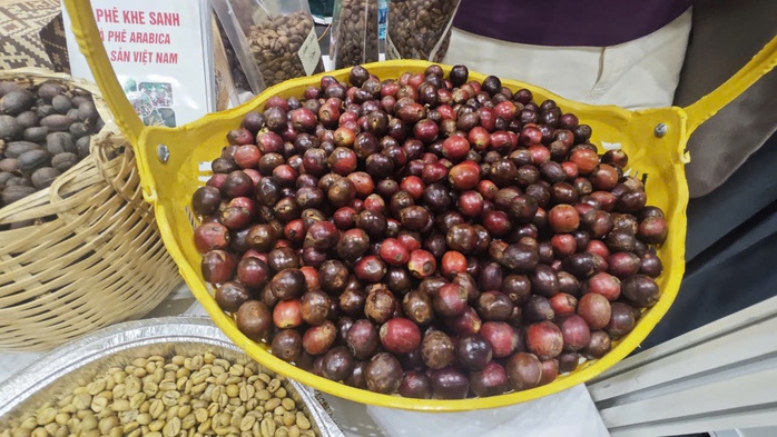 Giá cà phê tăng gấp đôi và nỗi lo bong bóng giá- Ảnh 2. Giá cà phê tăng gấp đôi và nỗi lo bong bóng giá- Ảnh 2.