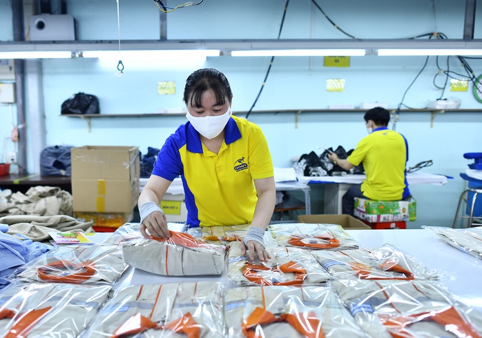 Những trường hợp được nghỉ hưu sớm từ 1-7-2025- Ảnh 3. Những trường hợp được nghỉ hưu sớm từ 1-7-2025- Ảnh 3.