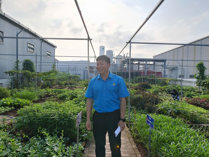 Mê mẩn vườn rau gần 1.000m2 giữa khuôn viên 1 công ty ở Bình Dương- Ảnh 6.