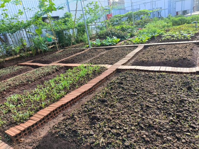 Mê mẩn vườn rau gần 1.000m2 giữa khuôn viên 1 công ty ở Bình Dương- Ảnh 8.