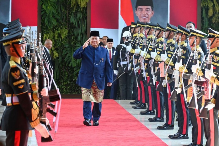 Phó Chủ tịch nước Võ Thị Ánh Xuân gặp tân Tổng thống Indonesia- Ảnh 3. Phó Chủ tịch nước Võ Thị Ánh Xuân gặp tân Tổng thống Indonesia- Ảnh 3.