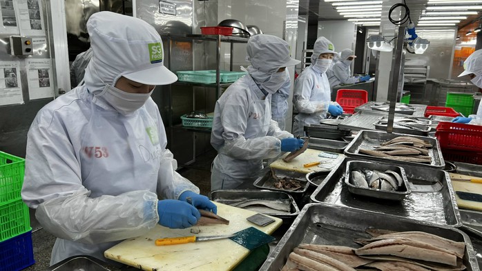 Những trường hợp được nghỉ hưu sớm từ 1-7-2025- Ảnh 1. Những trường hợp được nghỉ hưu sớm từ 1-7-2025- Ảnh 1.