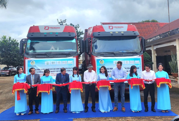 Hàng ngàn héc ta cao su được cấp "thẻ xanh" vào EU- Ảnh 3. Hàng ngàn héc ta cao su được cấp "thẻ xanh" vào EU- Ảnh 3.