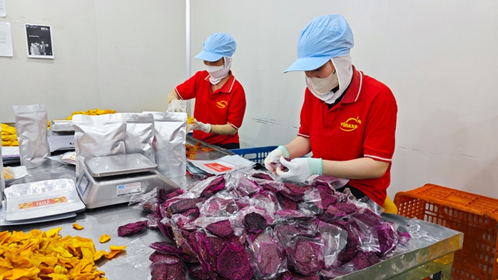 Vinaxo đẩy mạnh bán hàng ở thị trường nội địa mùa Tết 2025 Vinaxo đẩy mạnh bán hàng ở thị trường nội địa mùa Tết 2025