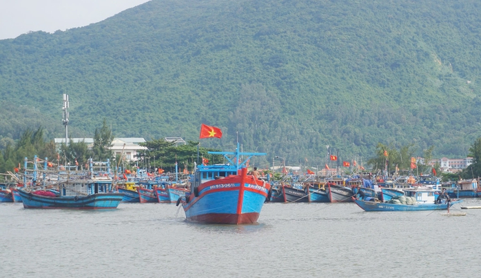 Ngư dân Đà Nẵng cấp tập đưa tàu thuyền vào bờ tránh bão Trami- Ảnh 1.
