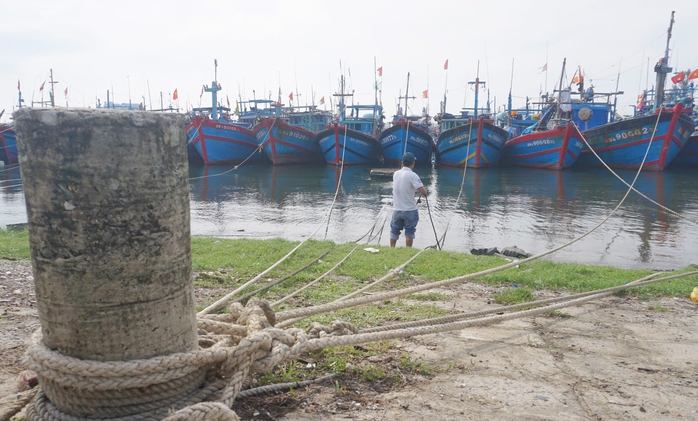 Ngư dân Đà Nẵng cấp tập đưa tàu thuyền vào bờ tránh bão Trami- Ảnh 2.