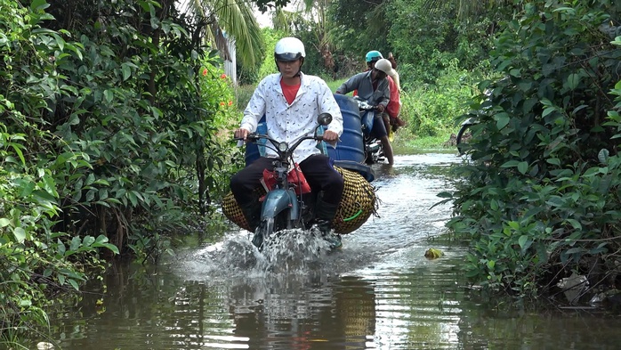 VIDEO: Người dân vùng ven Bạc Liêu khổ sở vì nước ngập triền miên- Ảnh 4. VIDEO: Người dân vùng ven Bạc Liêu khổ sở vì nước ngập triền miên- Ảnh 4.