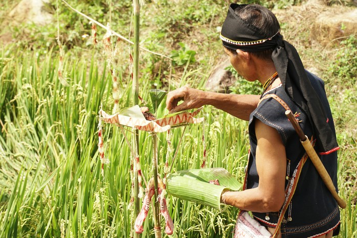 Lễ cúng bến nước truyền thống của đồng bào Ba Na- Ảnh 7. Lễ cúng bến nước truyền thống của đồng bào Ba Na- Ảnh 7.